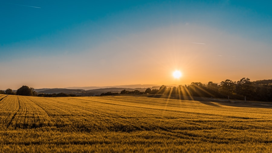 A working farm at sunrise